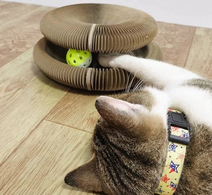 Magic Organ Cat Scratching Board - With Toy Bell Ball