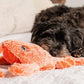 💝LAST DAY 48% OFF🔥Floppy Lobster-Dog toys