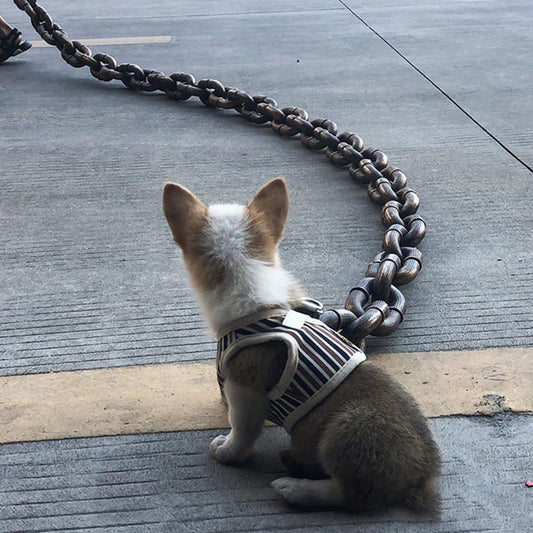 Funny Imitates Iron Dog Chain Leash